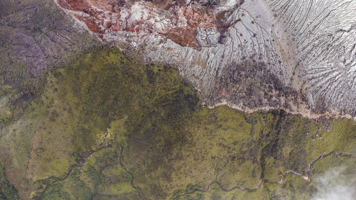 aerial view of rocky landscape near a forest
