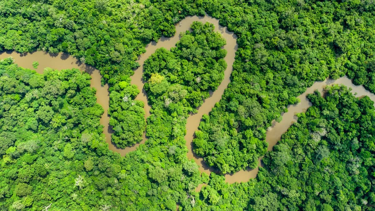 Aerial view of winding river through forest.
