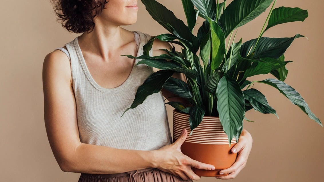 woman holding potted plant