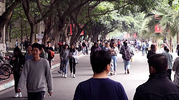 lots of people walking on a street surrounded trees