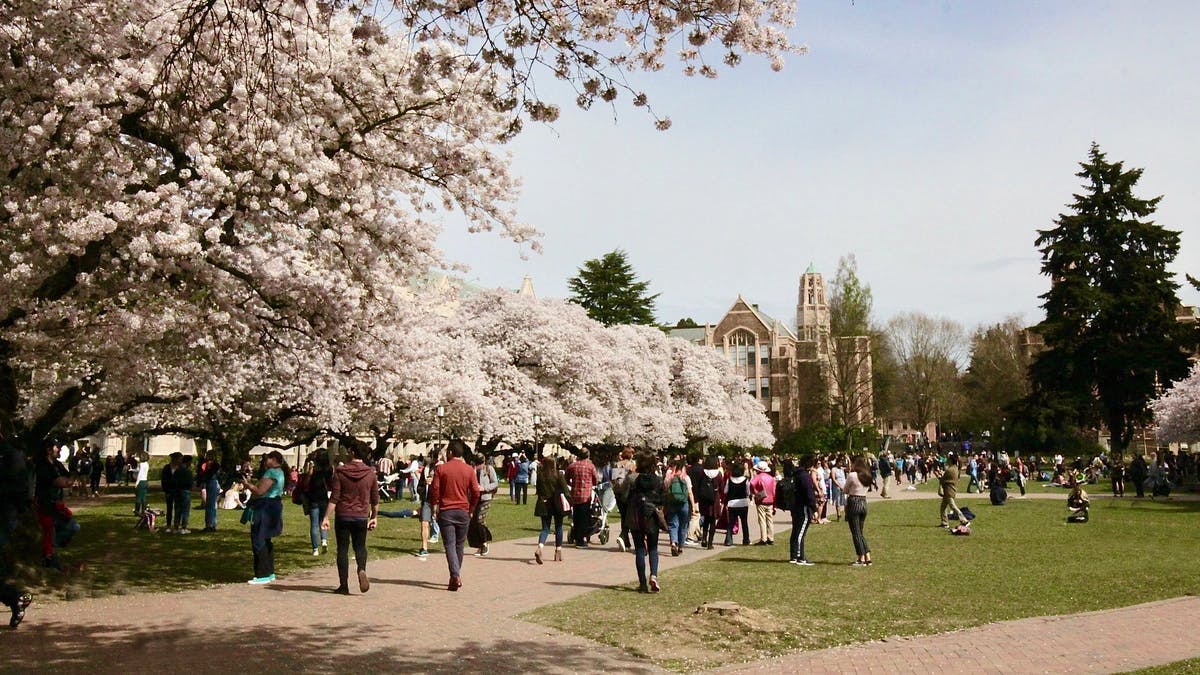 crowd at a university campus